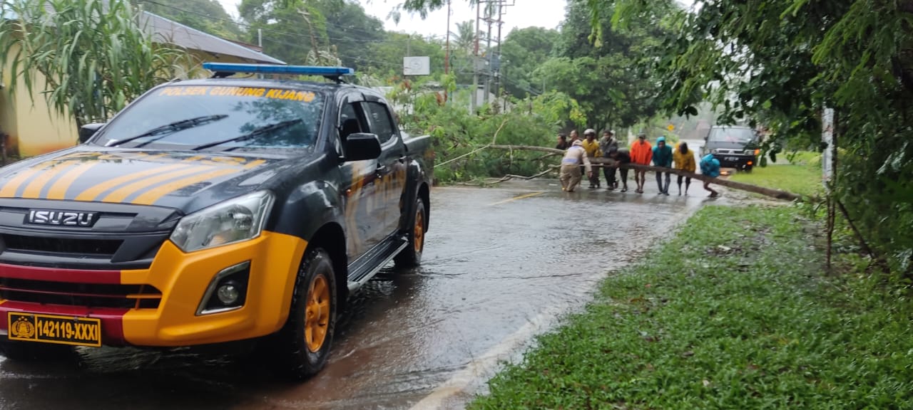 Gerak Cepat Personel Polsek Gunung Kijang Polres Bintan Singkirkan pohon Tumbang Yang Menghalangi Jalan