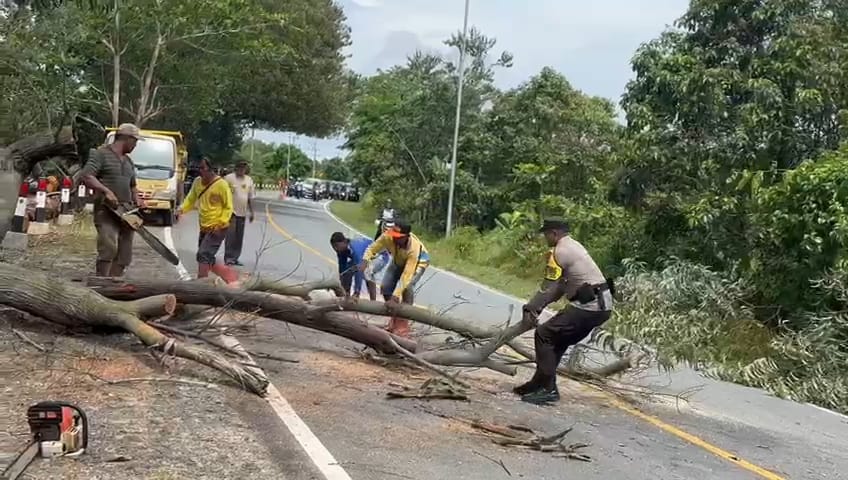  Cekatan, Bhabinkamtibmas Desa Busung Polsek Bintan Utara, Potong Pohon Tumbang Yang Menghalangi Arus Lalulintas Jalan Raya