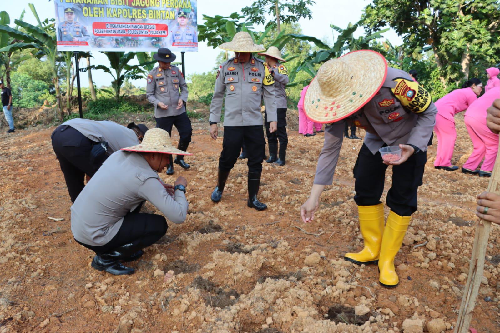 Dukung Program Pemerintah, Kapolres Bintan Laksanakan Penanaman Perdana 2000 Bibit Jagung