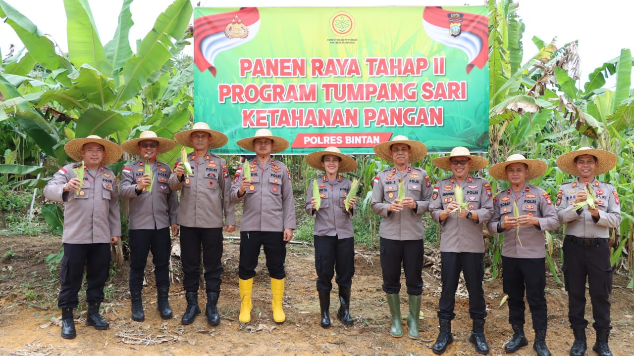 Dukung program presiden, Polres Bintan kembali Panen raya Jagung Tahap kedua