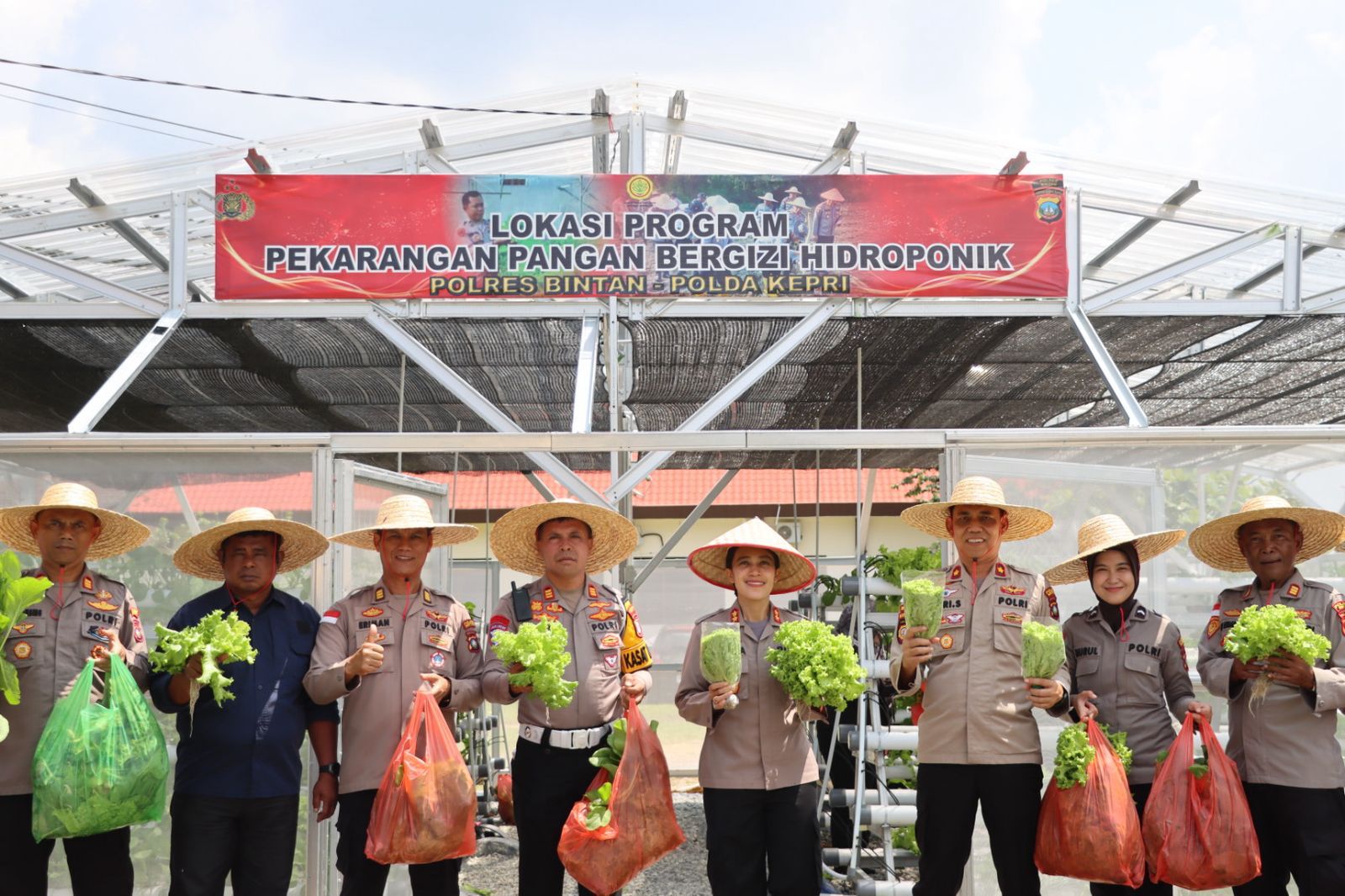 Polres Bintan Panen Raya Sayur Hidroponik, Dukung Ketahanan Pangan