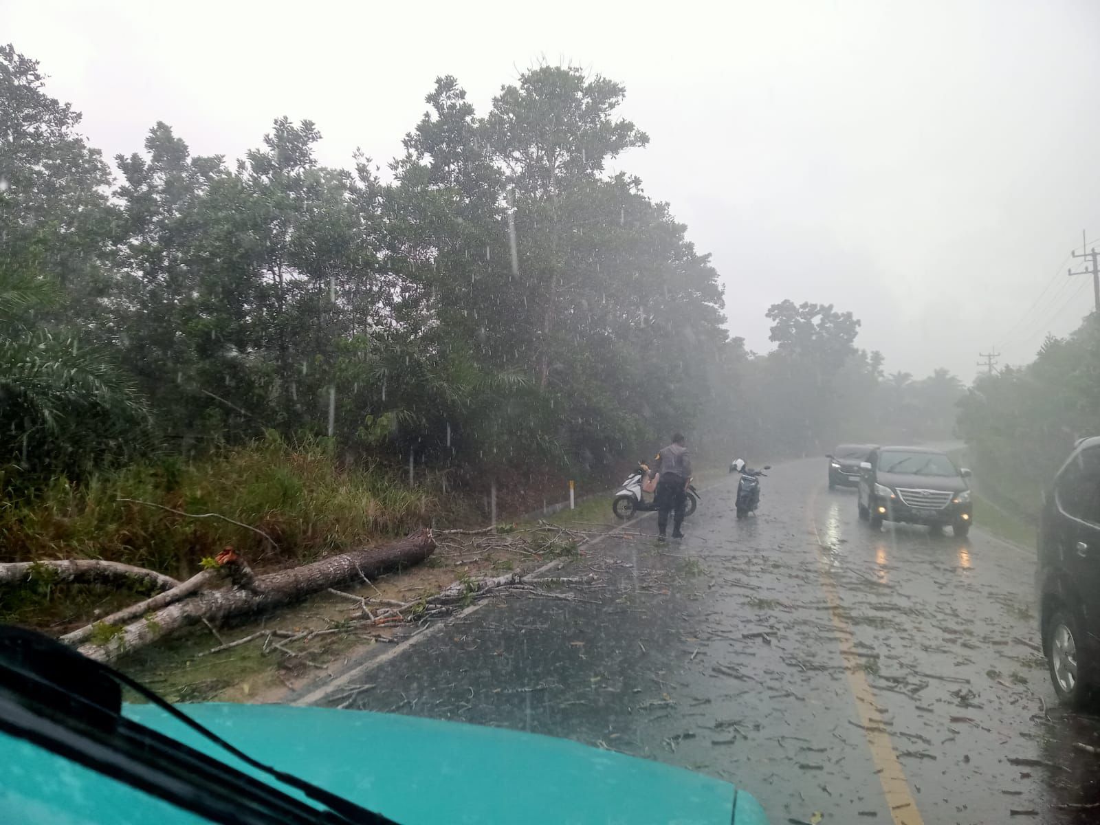 Bhabikamtibmas Sigap Evakuasi Pohon Tumbang Meski Hujan Deras di Sertai Petir